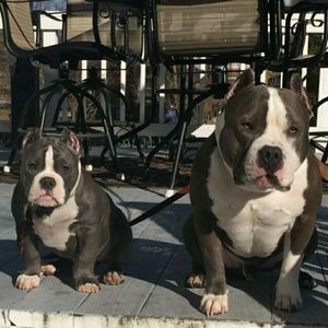 Meet your Posher, Jami